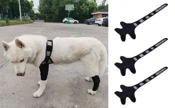 Köpek Destek Brace Bacak Yaralanması Kurtarma Hock Eklem Wrap Nefes Köpek Bacaklar Koruyucu bacak desteği evcil hayvan bakım aksesuarları