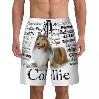 Pet Collie Köpek Özellikleri Erkek Yüzmek Mayo Mayo Hızlı Kuru Plaj Kurulu Şort Hayvan Yüzme Boardshorts